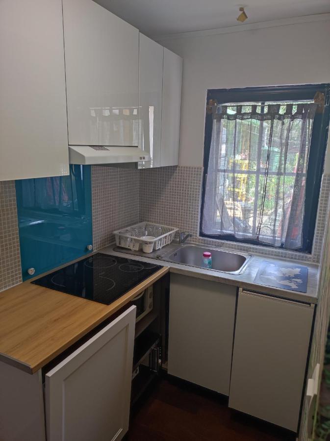 Studio Independant Dans Un Maison Apartment แซงต์-เดอนี ภายนอก รูปภาพ