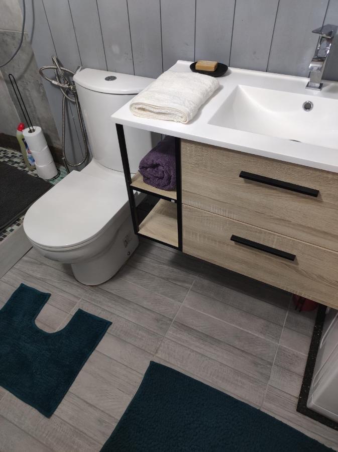 Studio Independant Dans Un Maison Apartment แซงต์-เดอนี ภายนอก รูปภาพ